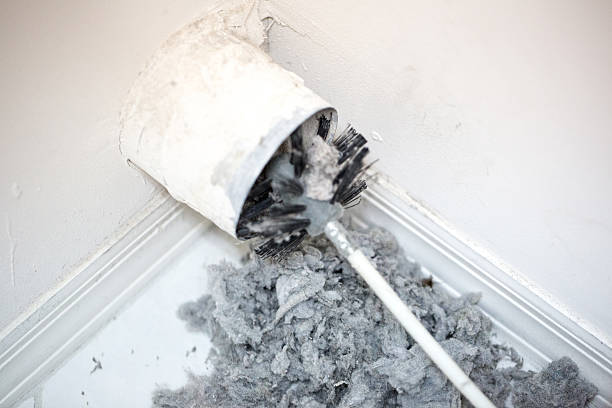 Best Affordable Air Duct Cleaning  in Columbia, MO
